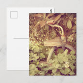 ビンテージの三輪自転車 ポストカード (正面/裏面)