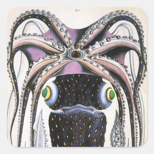 ビンテージの巨大なイイダコまたはタコ, 海洋生物の動物 スクエアシール (正面)