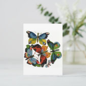 ビンテージの昆虫または虫、美しい蝶 ポストカード (スタンド正面)