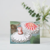 ビンテージの水面に咲く睡蓮の花 ポストカード (スタンド正面)