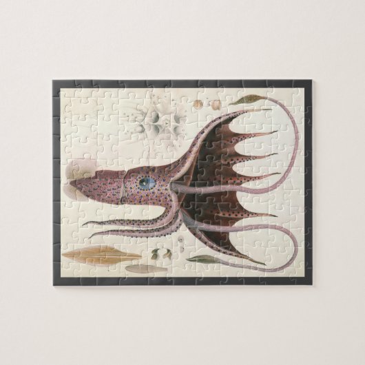 ビンテージの海洋生物、傘のようなクラゲ ジグソーパズル (横)