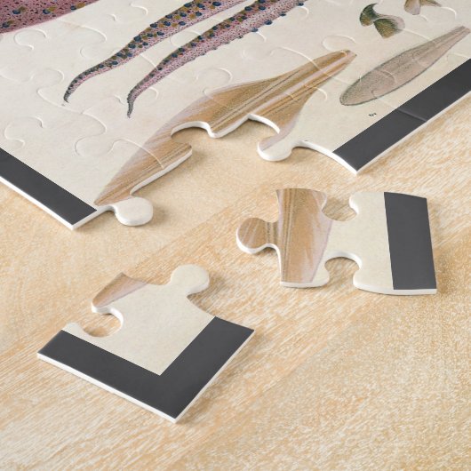 ビンテージの海洋生物、傘のようなクラゲ ジグソーパズル (側面)