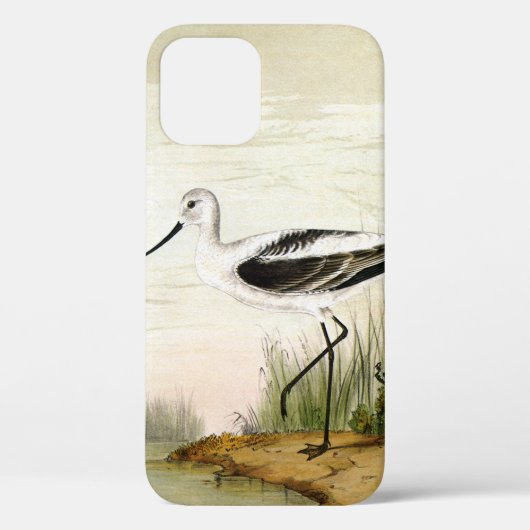 ビンテージの海洋生物・水辺の鳥 アボセットの鳥 Case-Mate iPhoneケース (裏面)