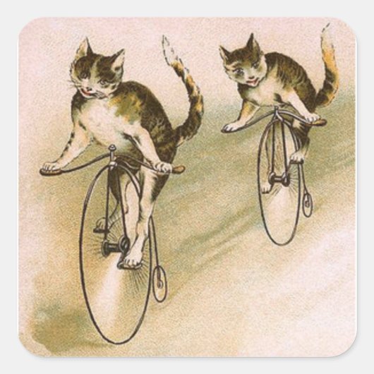 ビンテージの猫の自転車 スクエアシール (正面)
