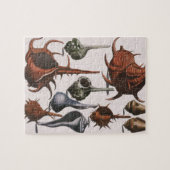 ビンテージの貝殻、海洋生物、海洋の貝殻 ジグソーパズル (横)