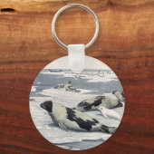ビンテージの野生動物、北極の港湾アザラシの氷山 キーホルダー (正面)