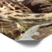 ビンテージの野生動物、雪豹 by CE スワン ポスター (角)