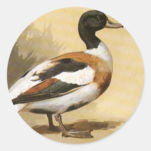 ビンテージの野生動物 鳥, マガモ ラウンドシール (正面)