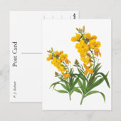 ビンテージの黄色い花 植物画 ポストカード (正面/裏面)