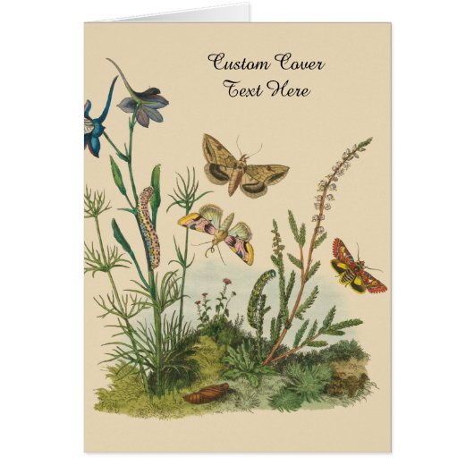 ビンテージガーデン 昆虫、蝶、幼虫 (正面)