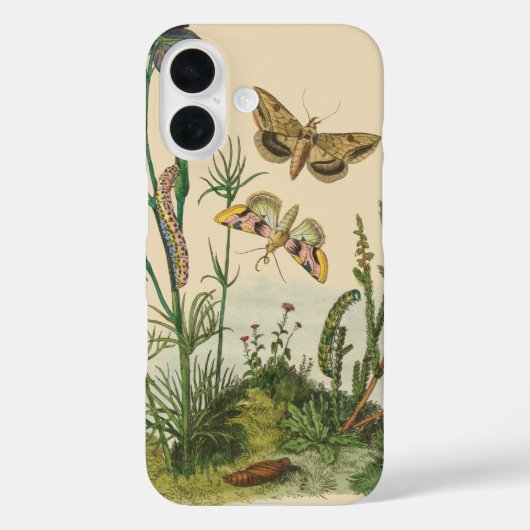 ビンテージガーデン 昆虫、蝶、幼虫 Case-Mate iPhoneケース (裏面)