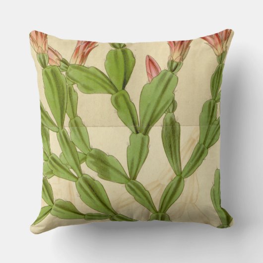 ビンテージクリスマスサボタス装飾用クッション クッション (裏面)