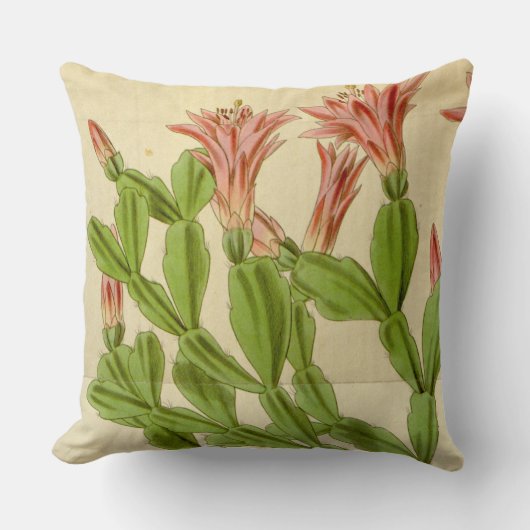 ビンテージクリスマスサボタス装飾用クッション クッション (正面)