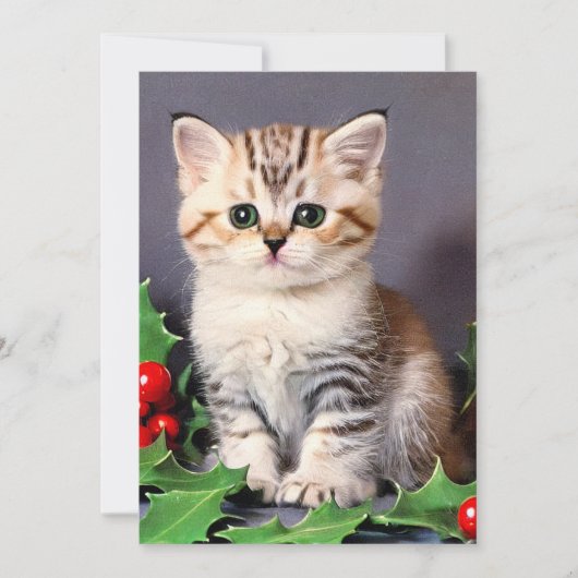 ビンテージクリスマス子猫とホリ シーズンカード (正面)