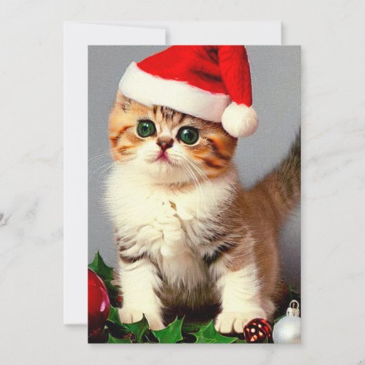 ビンテージクリスマス子猫サンタ帽 シーズンカード (正面)