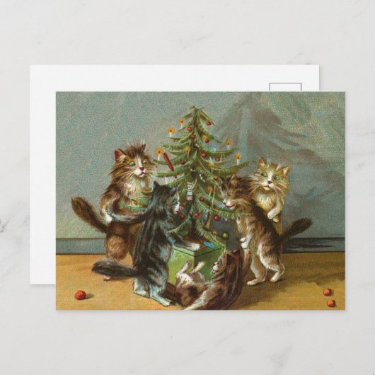 ビンテージクリスマス猫 シーズンポストカード (正面/裏面)