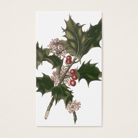 ビンテージクリスマス、緑のホリー植物と果実 (正面)