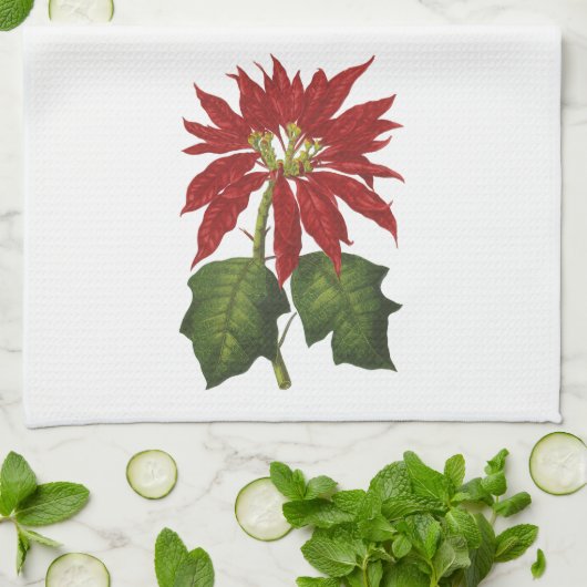 ビンテージクリスマス、赤いポインセチアの冬の植物 キッチンタオル (折り畳み)