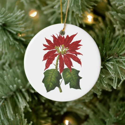 ビンテージクリスマス、赤いポインセチアの冬の植物 セラミックオーナメント (ツリー)