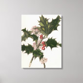 ビンテージクリスマス、赤い果実のホリー植物 キャンバスプリント (正面)