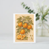 ビンテージスタイルのオレンジの植物画 ポストカード (スタンド正面)