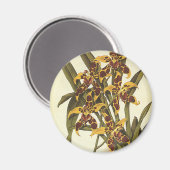 ビンテージトロピカルオドントグロッサムラン科の花 マグネット (正面/裏面)