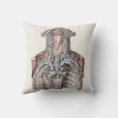 ビンテージ人体解剖学 喉、首、胸、肋骨 クッション (裏面)