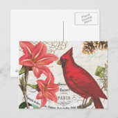 ビンテージ冬のカーディナル ポストカード (正面/裏面)