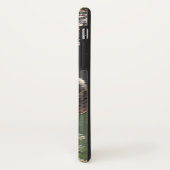 ビンテージ動物、ハンモックのマンクス猫または子猫 Case-Mate iPhoneケース (裏面/左)