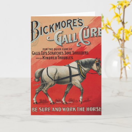 ビンテージ広告ビックモアの馬のための万能薬。 カード (黄色い花)