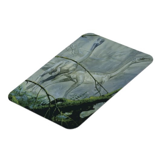 ビンテージ恐竜、メガプノサウルス(別名シンタルサス) マグネット (左側)