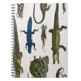 ビンテージ爬虫類 蛇 トカゲ ノートブック
