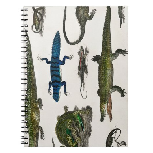 ビンテージ爬虫類 蛇 トカゲ ノートブック (正面)