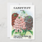 ビンテージ種袋アート、キャンディトゥフトの庭の花 (正面)