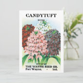 ビンテージ種袋アート、キャンディトゥフトの庭の花 (スタンド正面)