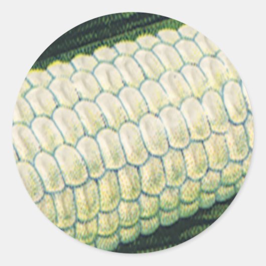 ビンテージ調の野菜 トウモロコシ ラウンドシール (正面)