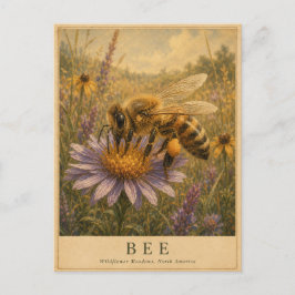 ビンテージ風 Bee Wildflower Meadows ポストカード