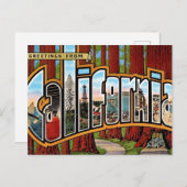 ビンテージ カリフォルニア・レッドウッド ポストカード (正面/裏面)