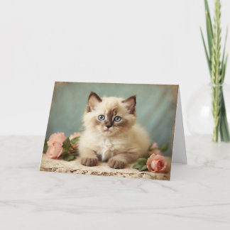 ビンテージ キュート ラグドール 子猫 ポートレート 花 スイート カード
