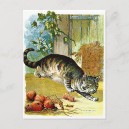ビンテージ・ドローイング: ずるい猫 ポストカード