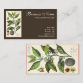 ビンテージ ナツメグ 植物 果実 種子、食品 ハーブ スパイス 名刺 (正面/裏面)