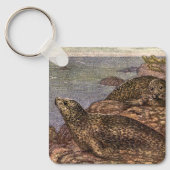 ビンテージ ハーバー シール, 海洋生物 海の動物 キーホルダー (正面)