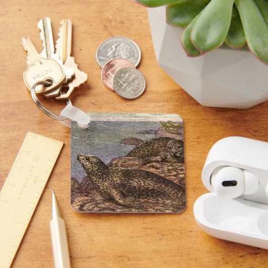 ビンテージ ハーバー シール, 海洋生物 海の動物 キーホルダー (デスク)