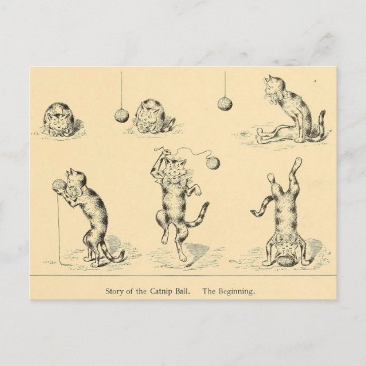 ビンテージ　ファニー　キャットニップ　キャット ポストカード (正面)