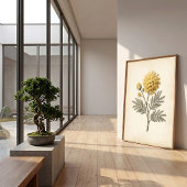 ビンテージ ミモザの植物画 カンバスプリント ポスター