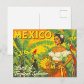 ビンテージ メキシコ トロピカル 旅行 ポストカード (正面/裏面)