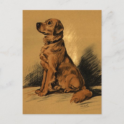 ビンテージ ラブラドール ポストカード (正面)