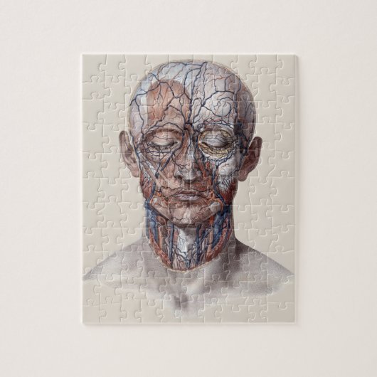 ビンテージ 人体解剖学 科学、頭 喉 鼻 ジグソーパズル (縦)