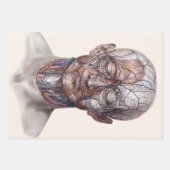 ビンテージ 人体解剖学 科学、頭 喉 鼻 ラッピングペーパーシート (正面3)