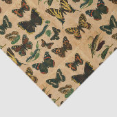 ビンテージ 昆虫 蝴蝶コレクション デコパージュ 薄葉紙 (詳細)